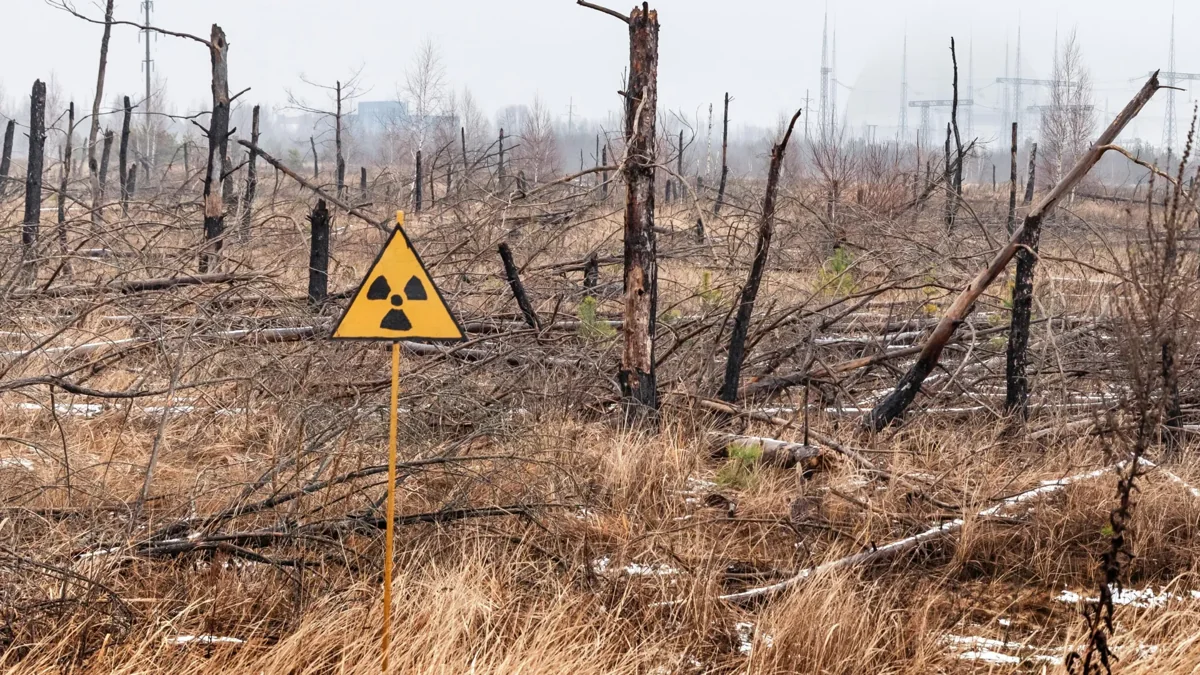Radiation-warning sign and damaged woodland used to illustrate Chornobyl contamination. Not an image of the six particles examined.