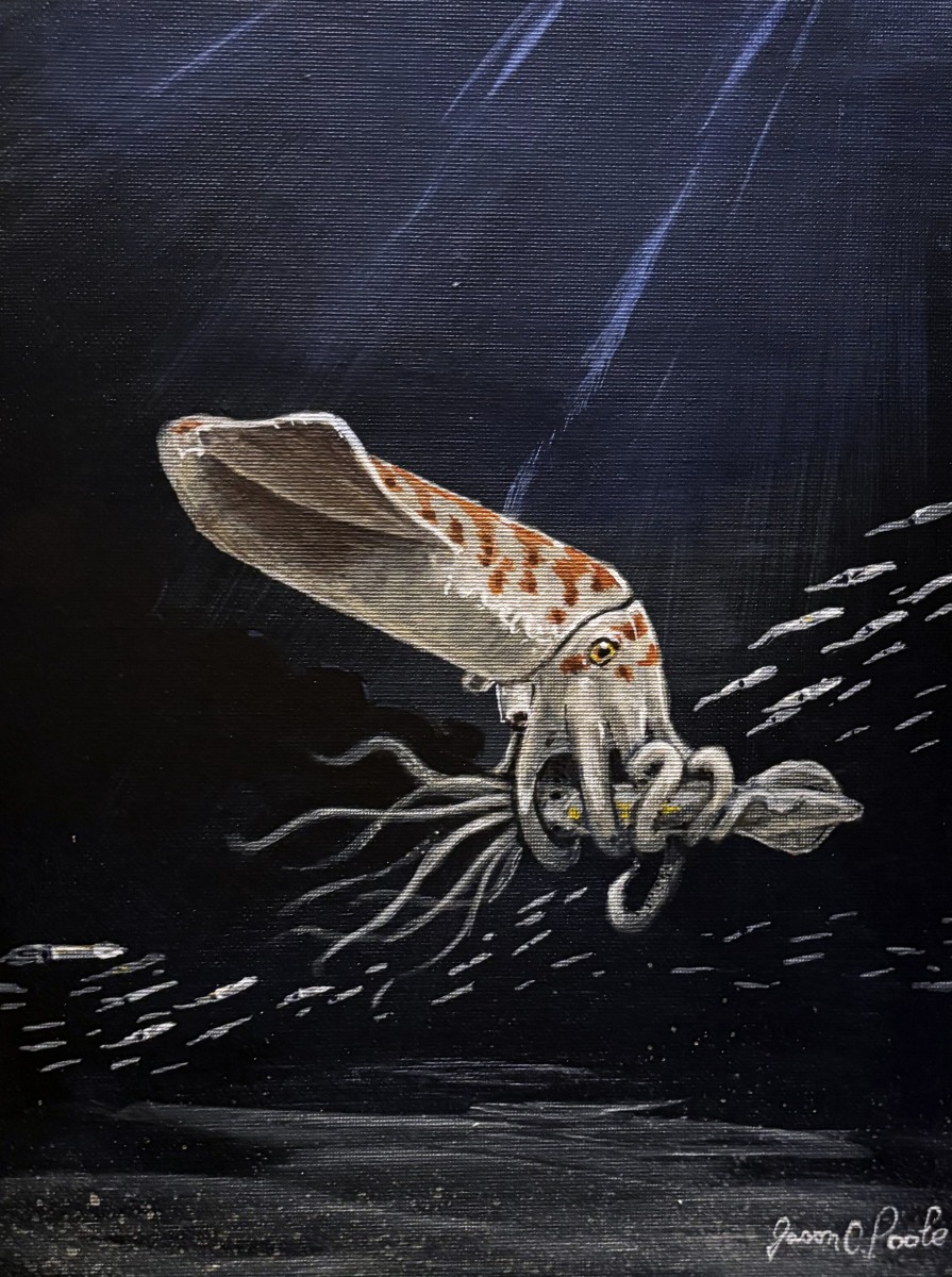 Artist’s reconstruction of Wyoteuthis linsterorum. The animal’s appearance is illustrated, not photographed.
