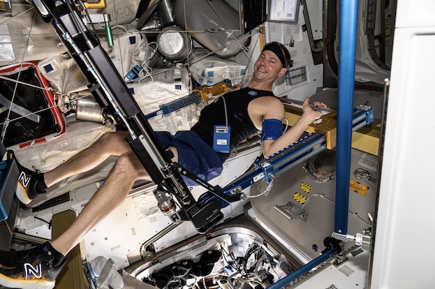 NASA astronaut Nick Hague exercises on the advanced resistive exercise device (ARED) aboard the International Space Station's Tranquility module.