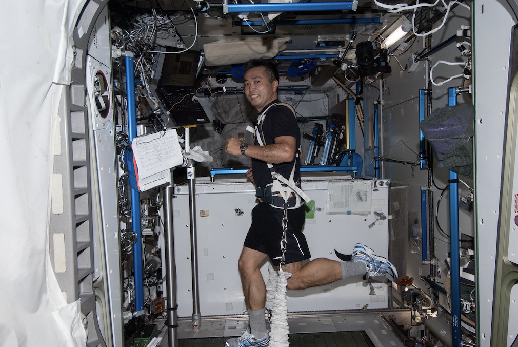 An astronaut exercises aboard the International Space Station. Contextual image supplied with Northwestern’s account; it does not identify a study participant or demonstrate a particular heart measurement.