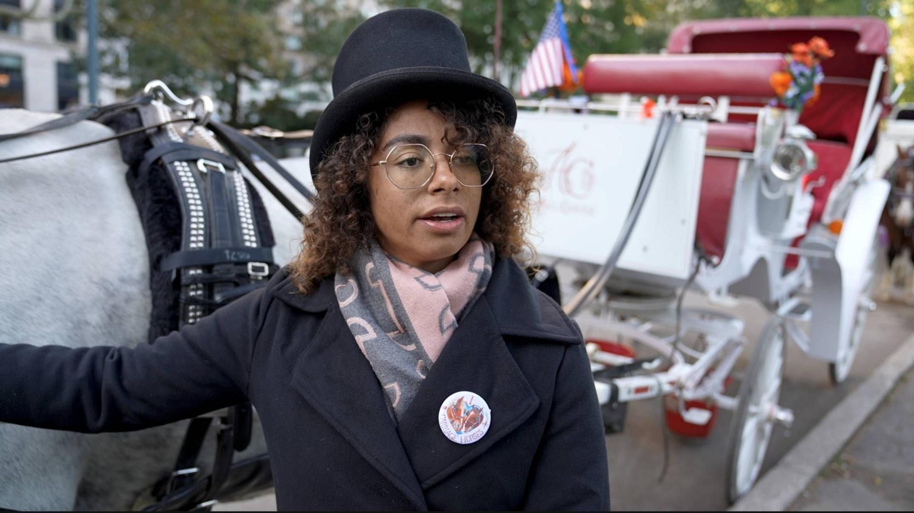 Carriage driver Alexus Lawson, whose work and horses are part of the debate.