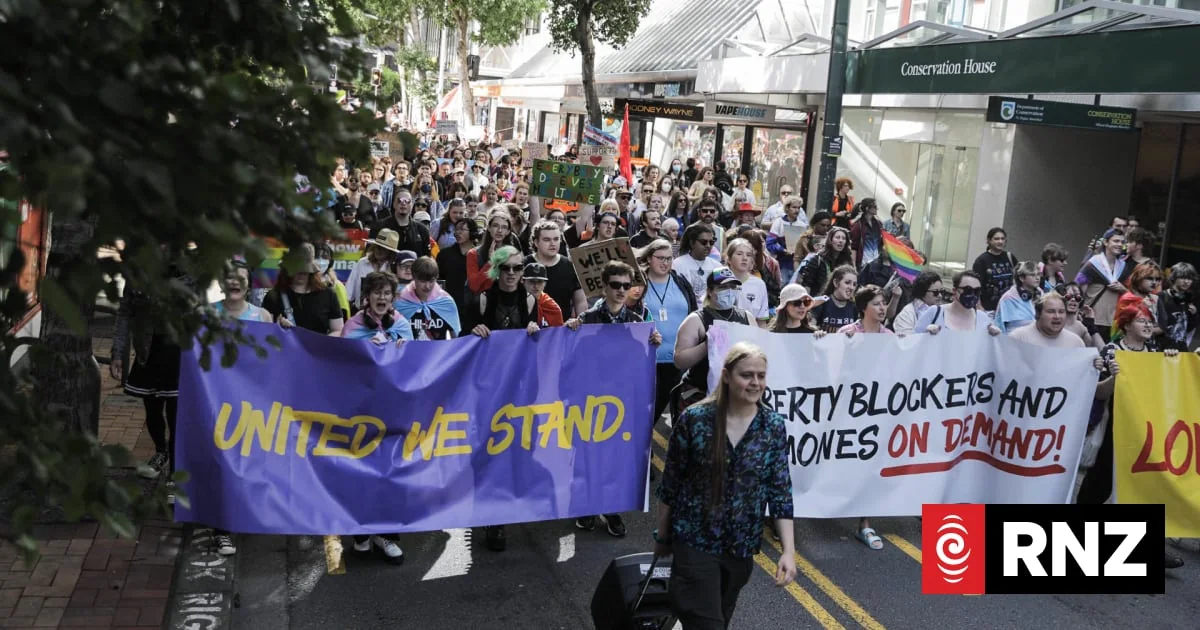 A public demonstration associated with the debate over puberty-blocker restrictions. Not a photograph of the court delivering its judgment.